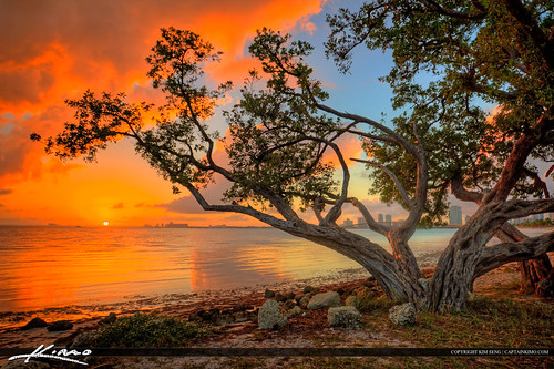 HDR Photography Mangrove Sunset from Key Biscayne by Captain Kimo