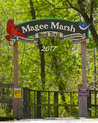 Magee Marsh 2017