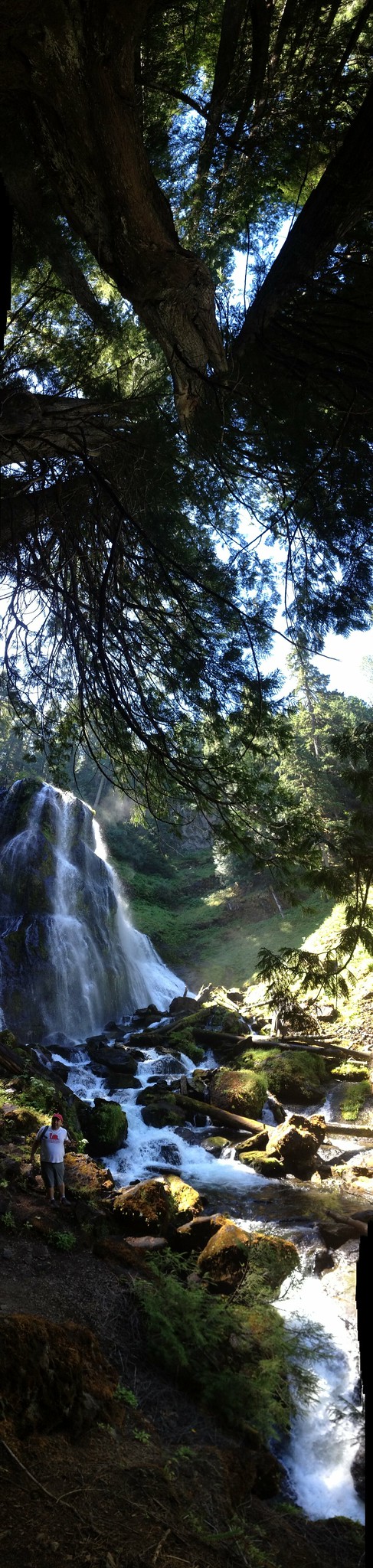 Falls Creek Falls Vertorama