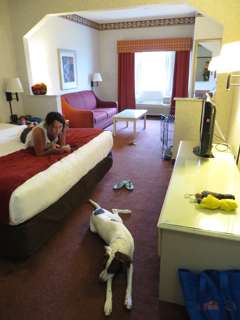 Comfort Inn Suites