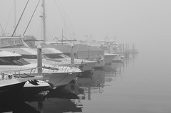 Foggy Vancouver - 18 Oct 2013