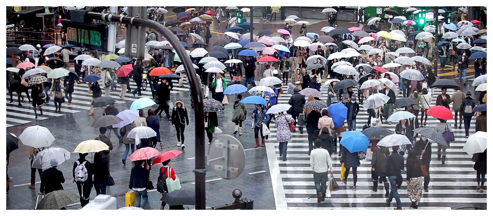 Carrefour de Shibuya sous la pluie, Tokyo - Japon