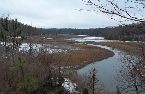 York River State Park is a great place to hike!