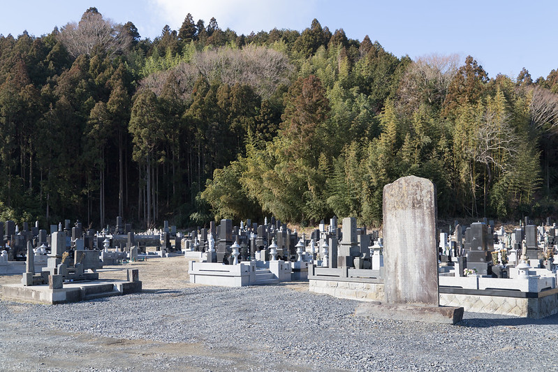 Cemetery Along the Kitakami River