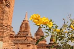 Alo Pyi Group Stupas