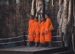 Cambodia - Ta Prohm