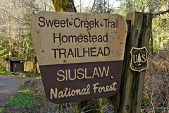 2013-03-03+ Sweet Creek, Oregon