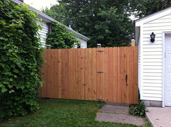 2013-7-8 Front Fence Fotos