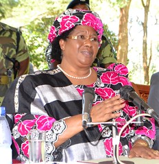Malawi’s President Joyce Banda says women must be empowered and have to be actively involved in all decisions related to their health and well being. Credit: Mabvuto Banda/IPS