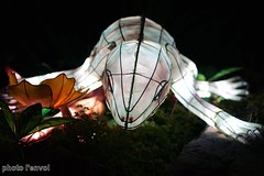 Lanternes chinoises 2013