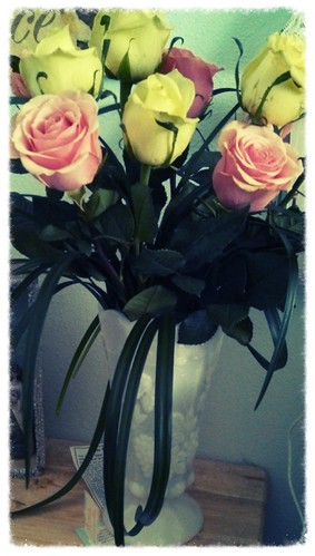 Roses from someone special