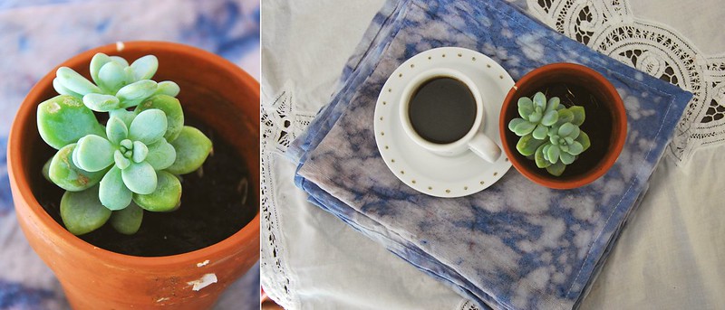 DIY indigo dye tea towels
