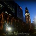Sydney City Hall