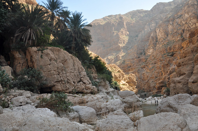 Wadi Shab (15)