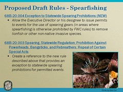 Lionfish Proposed Draft Rules (continued)