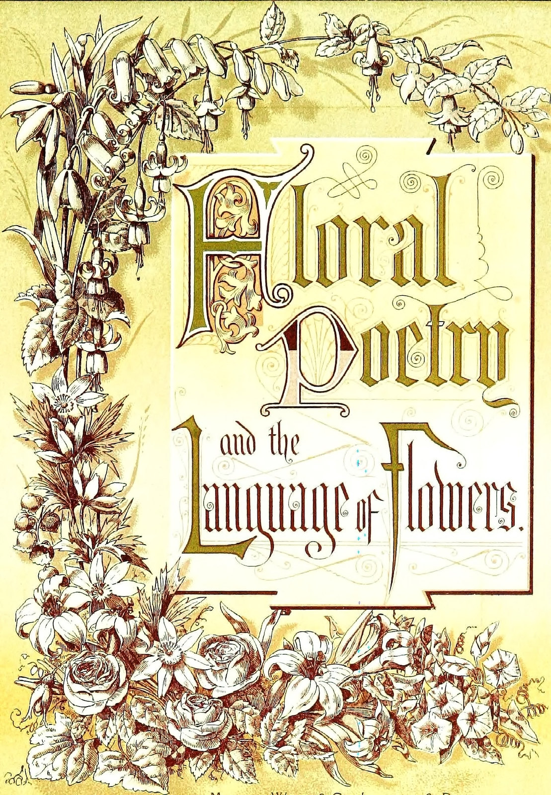 Floral poetry and the language of flowers, 1877