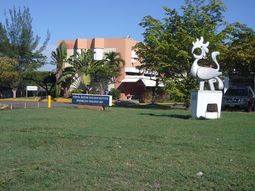 tropical medicine research institute