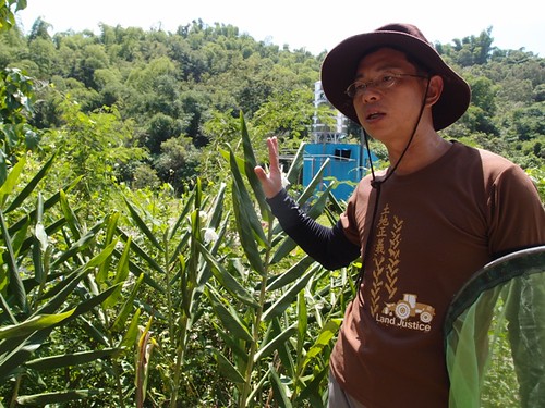 開心蝴蝶農場的廖大哥，正在向大家解說蝴蝶的蜜源植物。