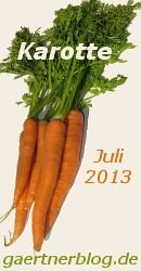 Garten-Koch-Event Juli 2013: Karotten [31.07.2013]