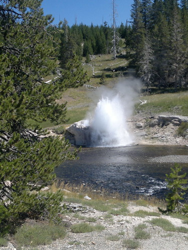 Martes Día 23 de Julio: Yellowstone (II) - 25 días por los parques nacionales del Oeste de USA: un Road Trip de 10500 kms (29)