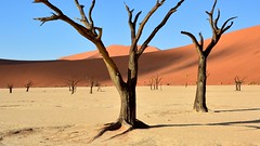 Sossusvlei Dunes & Mountains of the Namib-Naukluft National Park