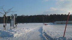 Baden-Rütihof Winter