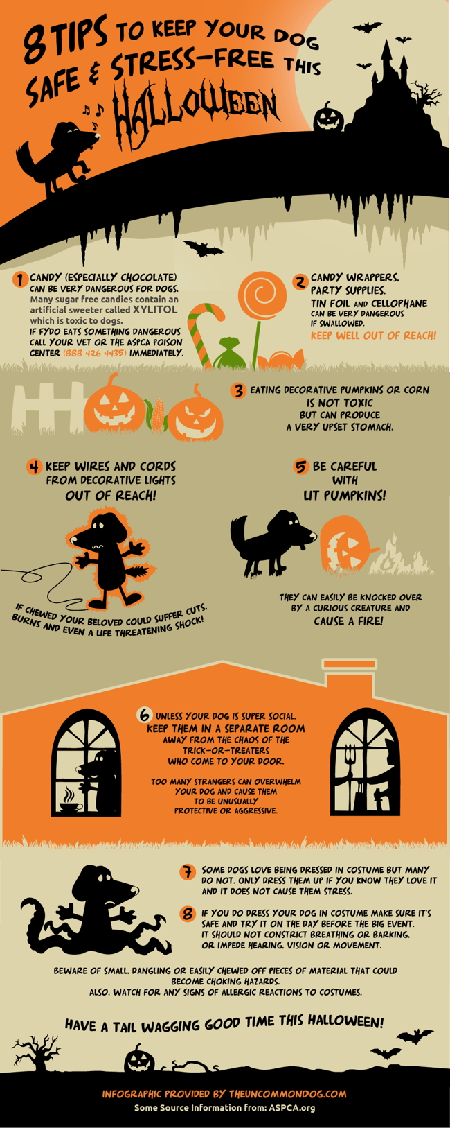 8 Tips to Keep Your Dog Safe & Stress Free this Halloween!