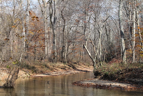 Image of Ten Mile Creek