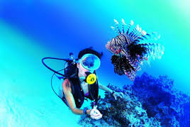 Onderwater biologie