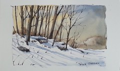 "Painting winter trees and shadows" Line and Wash Watercolor. New YouTube Video.