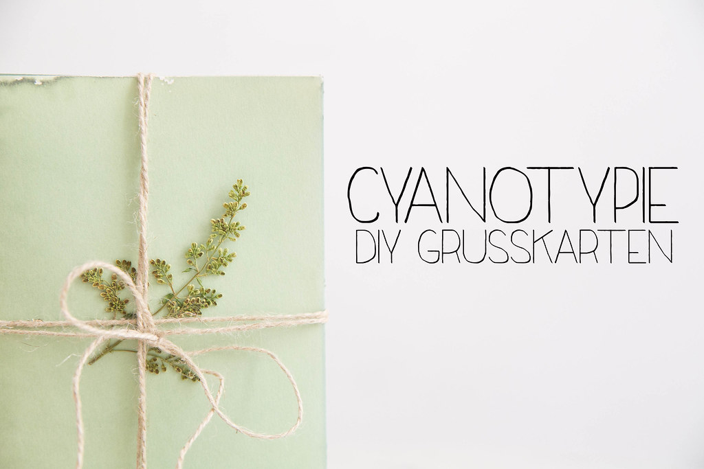 DIY-Cyanotypie-Grußkarten-9-Bearbeitet-Bearbeitet.jpg