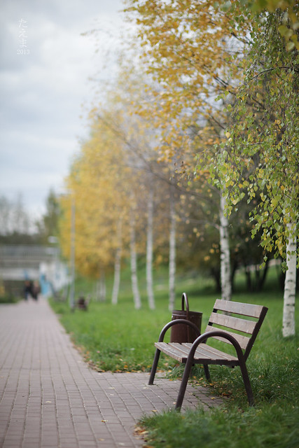 Benches_in_the_autumn_2013(1)