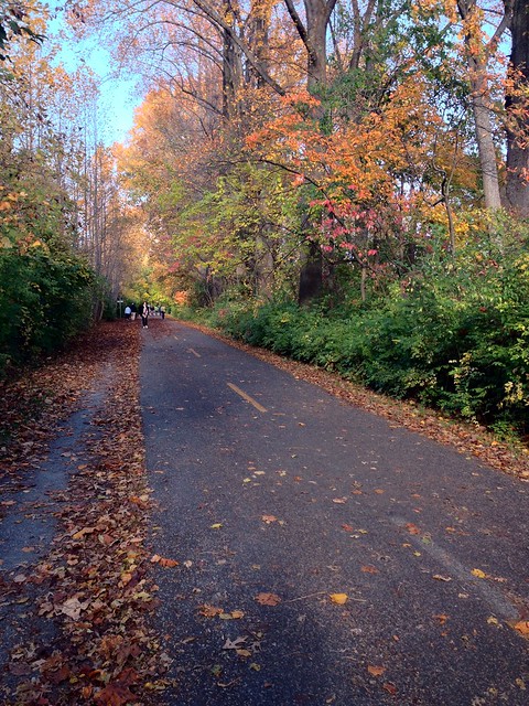 well-maintained section of Capitol Crescent Trail in MD