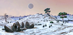 NMS View 65