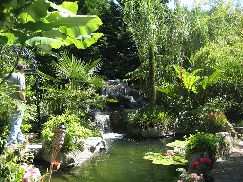 Galicic Garden Tropical Pool