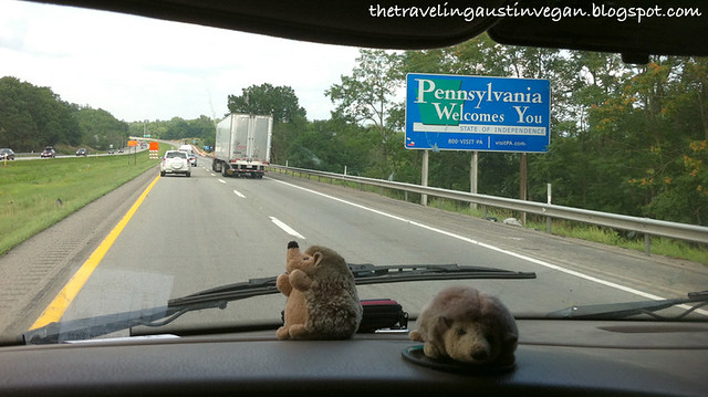 Hedgehogs In Pennsylvania