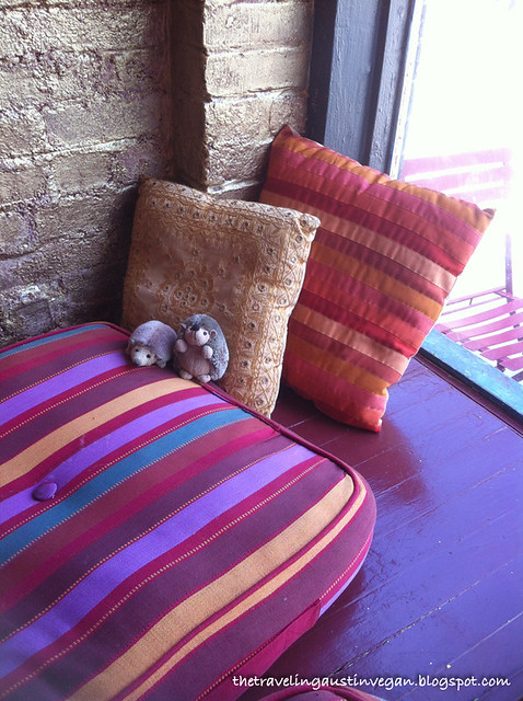 Hedgehogs on Cushions - FuD, Kansas City, MO