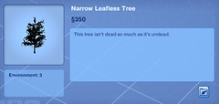 Narrow Leafless Tree