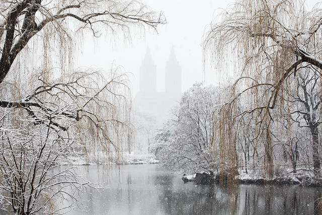 Snow Day in Central Park