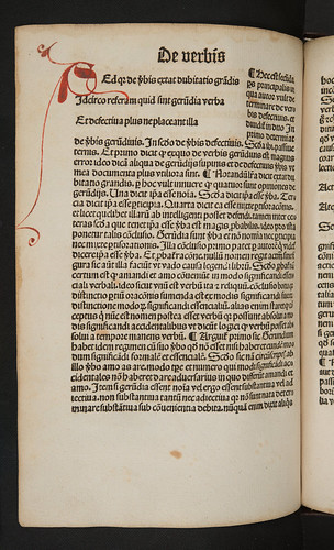 Penwork initial in Garlandia, Johannes de: Nomina et verba defectiva