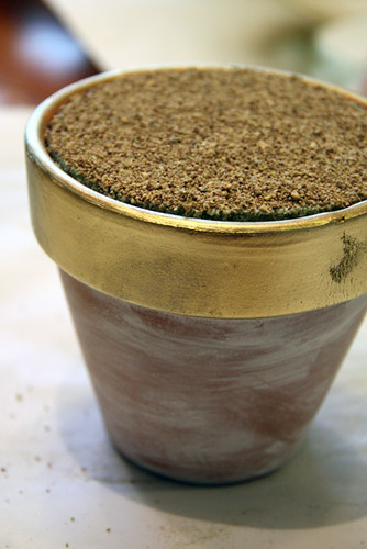 Pot-with-gravel-on-top