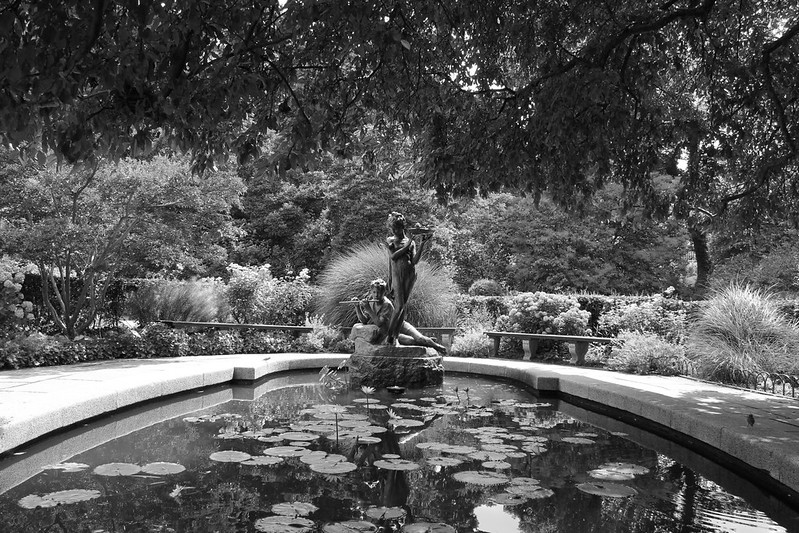 English Garden in Black and White