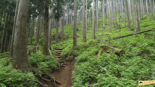Hiking Mt. Nabewari - day trip from Tokyo 5