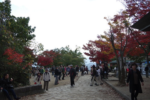 13 Nov 2013 : Mt. Takao photo