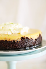 Nigella's lime chocolate cheesecake