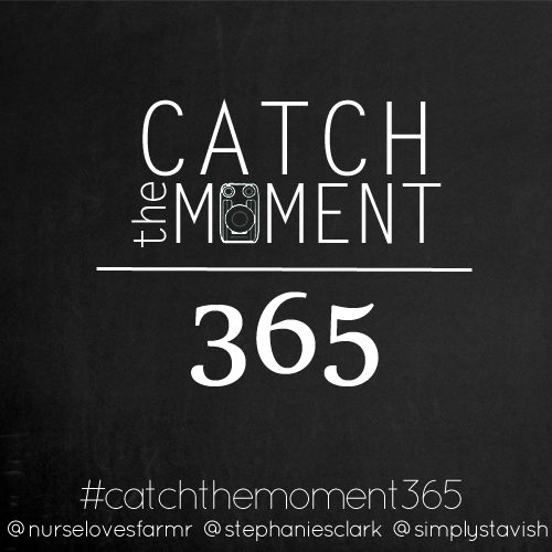 Catch the Moment 365