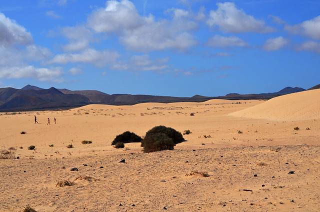 Corralejo Dunes, Fuerteventura