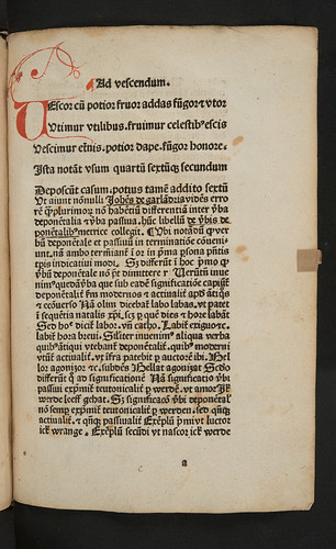 Penwork initial with flourishing in Garlandia, Johannes de: Verba deponentalia