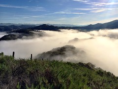 Fog Ridge Avila