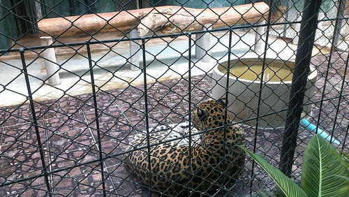 Koh Samui Aquarium & Tiger Zoo サムイ島　水族館 & タイガーZoo